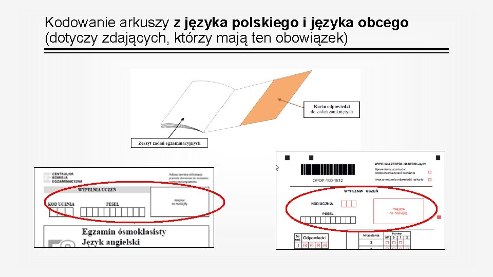 Kodowanie arkuszy z języka polskiego i języka obcego (dotyczy zdających, którzy mają ten obowiązek)