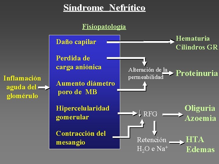 Síndrome Nefrítico Fisiopatología Hematuria Cilindros GR Daño capilar Perdida de carga aniónica Inflamación aguda
