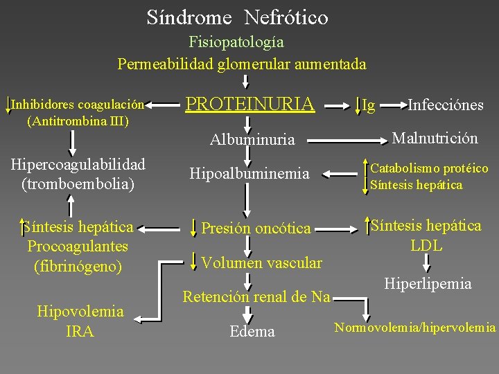 Síndrome Nefrótico Fisiopatología Permeabilidad glomerular aumentada Inhibidores coagulación (Antitrombina III) PROTEINURIA Albuminuria Hipercoagulabilidad (tromboembolia)