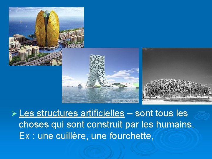 Ø Les structures artificielles – sont tous les choses qui sont construit par les