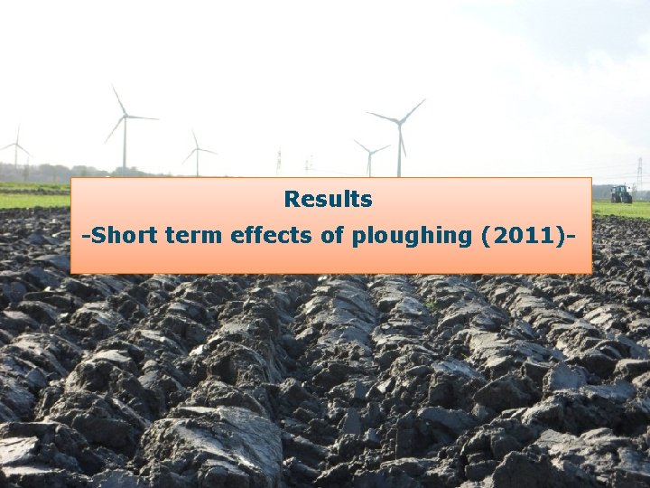 Results -Short term effects of ploughing (2011)- 