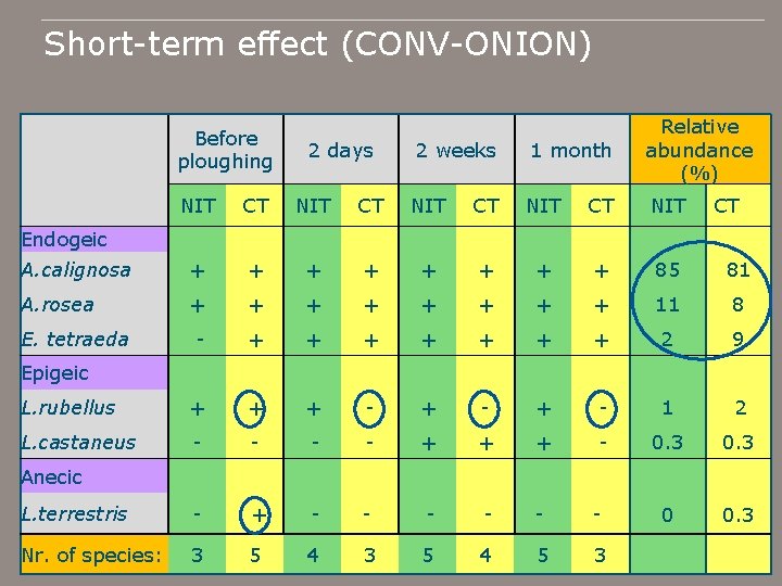 Short-term effect (CONV-ONION) Before ploughing 2 days 2 weeks 1 month Relative abundance (%)