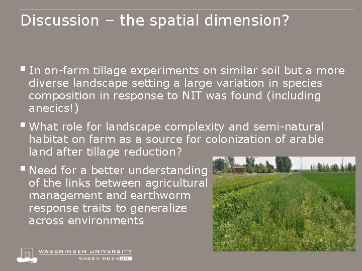 Discussion – the spatial dimension? § In on-farm tillage experiments on similar soil but