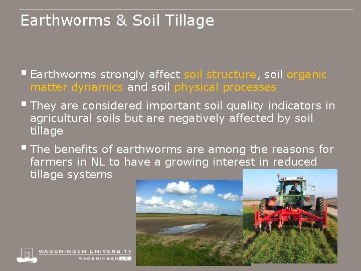 Earthworms & Soil Tillage § Earthworms strongly affect soil structure, soil organic matter dynamics