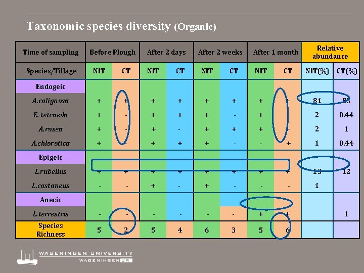 Taxonomic species diversity (Organic) Time of sampling Species/Tillage Before Plough After 2 days After