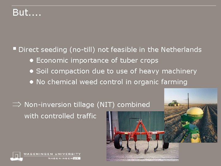 But. . § Direct seeding (no-till) not feasible in the Netherlands ● Economic importance