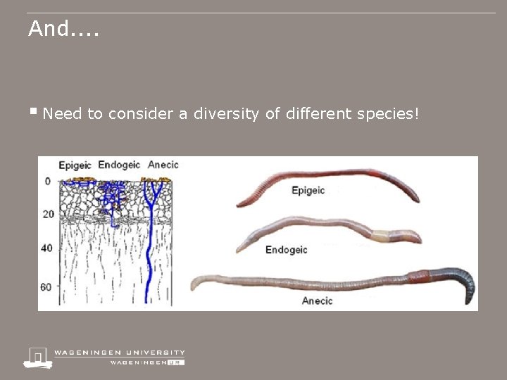 And. . § Need to consider a diversity of different species! 