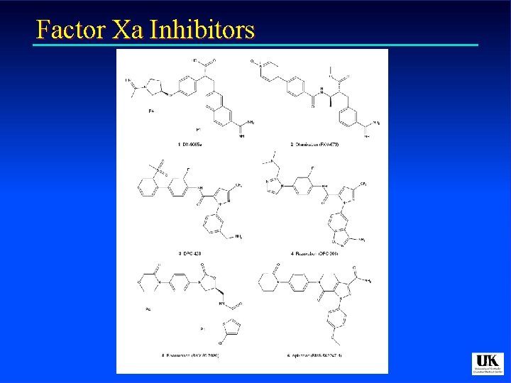 Factor Xa Inhibitors 