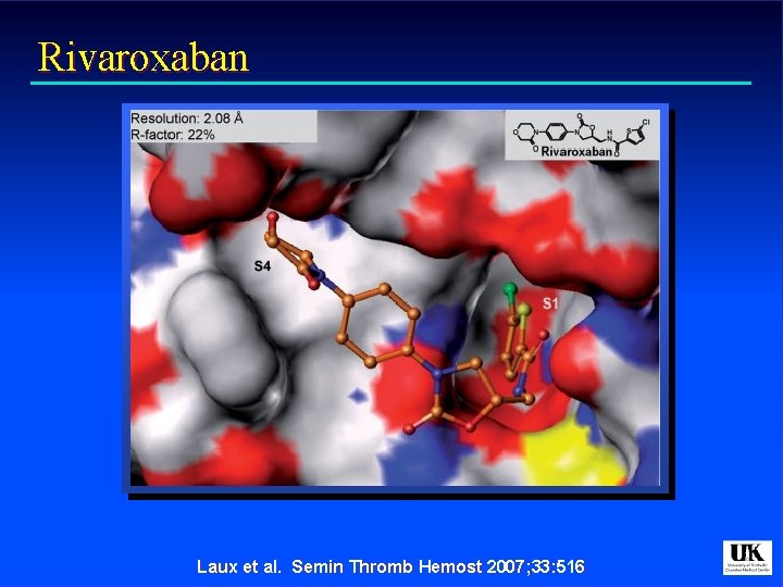 Rivaroxaban Laux et al. Semin Thromb Hemost 2007; 33: 516 