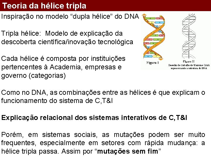 Teoria da hélice tripla Inspiração no modelo “dupla hélice” do DNA Tripla hélice: Modelo