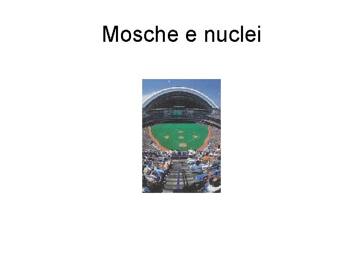 Mosche e nuclei Mosche e nuclei