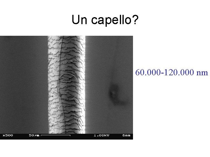 Un capello? 60. 000 -120. 000 nm Un capello? 60. 000 -120. 000 nm