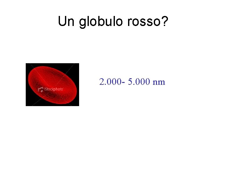Un globulo rosso? 2. 000 - 5. 000 nm Un globulo rosso? 2. 000 - 5. 000 nm