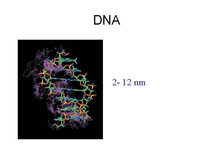 DNA 2 - 12 nm DNA 2 - 12 nm