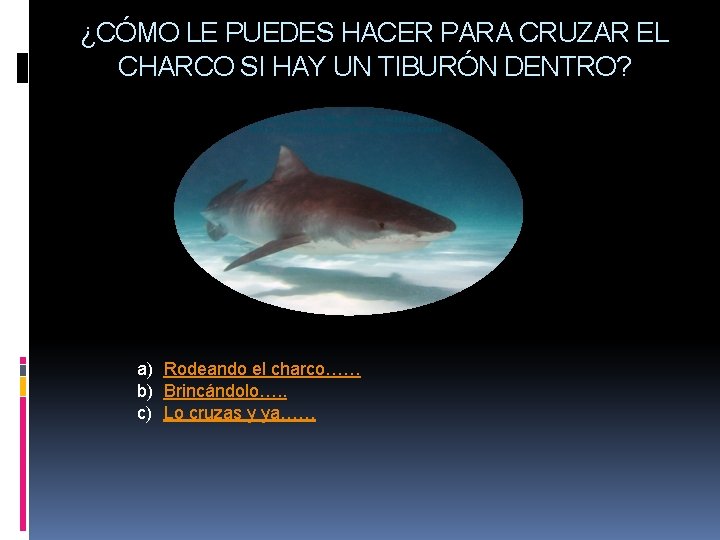 ¿CÓMO LE PUEDES HACER PARA CRUZAR EL CHARCO SI HAY UN TIBURÓN DENTRO? a) ¿CÓMO LE PUEDES HACER PARA CRUZAR EL CHARCO SI HAY UN TIBURÓN DENTRO? a)