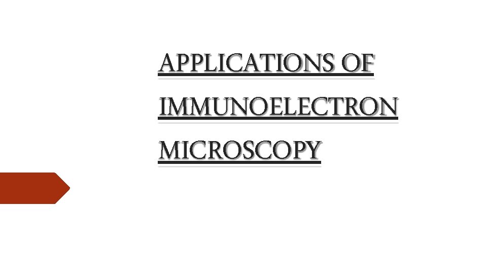 APPLICATIONS OF IMMUNOELECTRON MICROSCOPY 