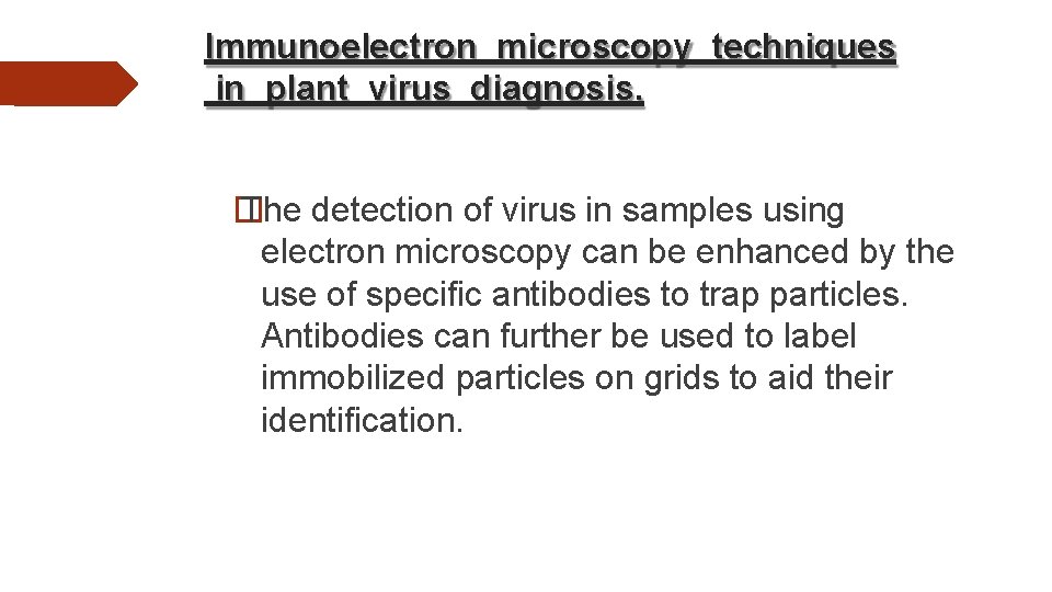 Immunoelectron microscopy techniques in plant virus diagnosis. � The detection of virus in samples