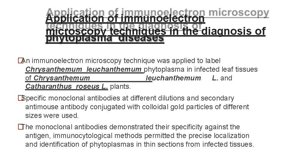 Application of immunoelectron microscopy techniques in the diagnosis of phytoplasma diseases �An immunoelectron microscopy