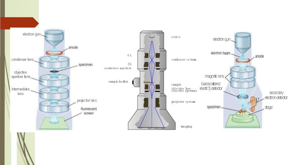 electron gun source electron gun CL condenser lens condenser system C 2 condenser apertu