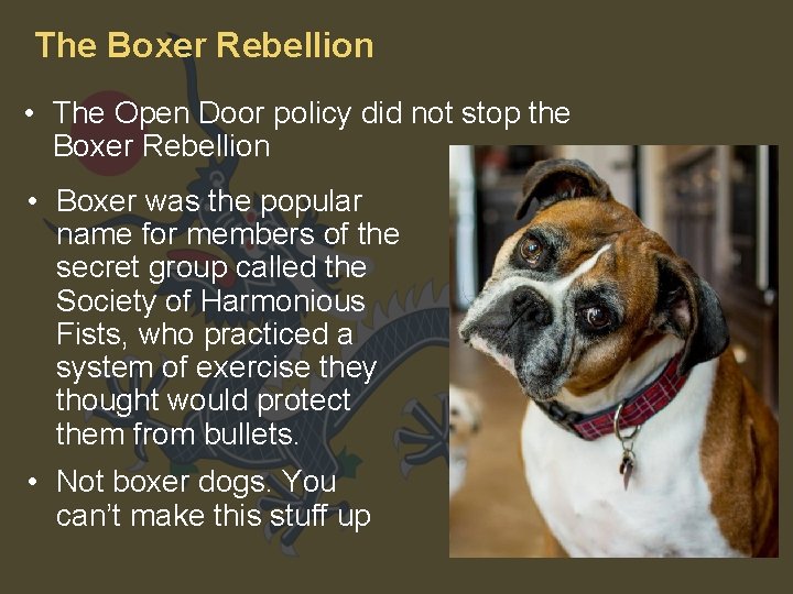 The Boxer Rebellion • The Open Door policy did not stop the Boxer Rebellion