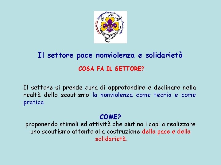 Il settore pace nonviolenza e solidarietà COSA FA IL SETTORE? Il settore si prende Il settore pace nonviolenza e solidarietà COSA FA IL SETTORE? Il settore si prende