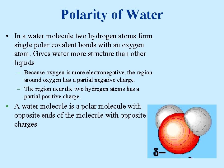 Polarity of Water • In a water molecule two hydrogen atoms form single polar