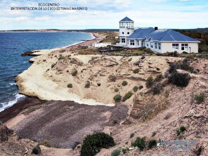 ECOCENTRO (INTERPRETACIÓN DE LOS ECOSISTEMAS MARINOS) La Boutique Del Power. Point 