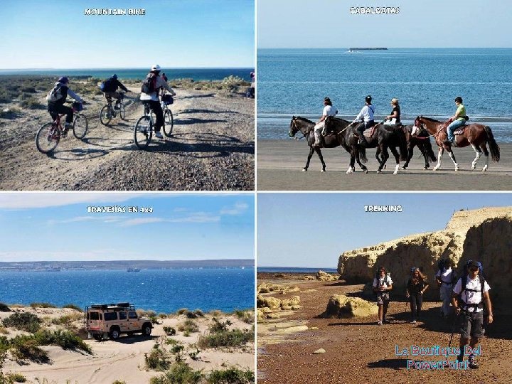 La Boutique Del Power. Point 