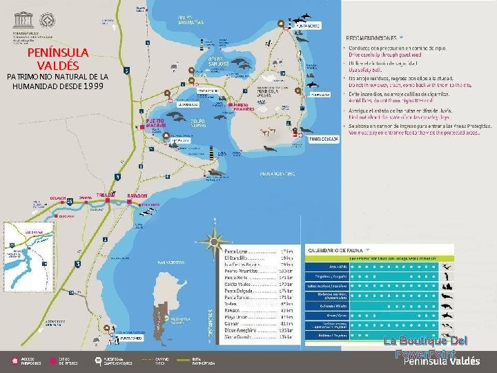 PENÍNSULA VALDÉS PATRIMONIO NATURAL DE LA HUMANIDAD DESDE 1999 La Boutique Del Power. Point