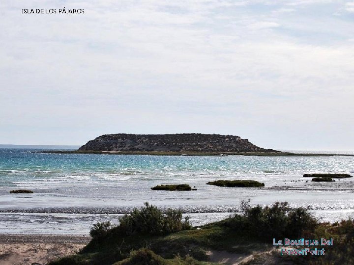 ISLA DE LOS PÁJAROS La Boutique Del Power. Point 