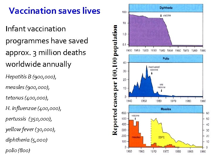 Vaccination saves lives Infant vaccination programmes have saved approx. 3 million deaths worldwide annually