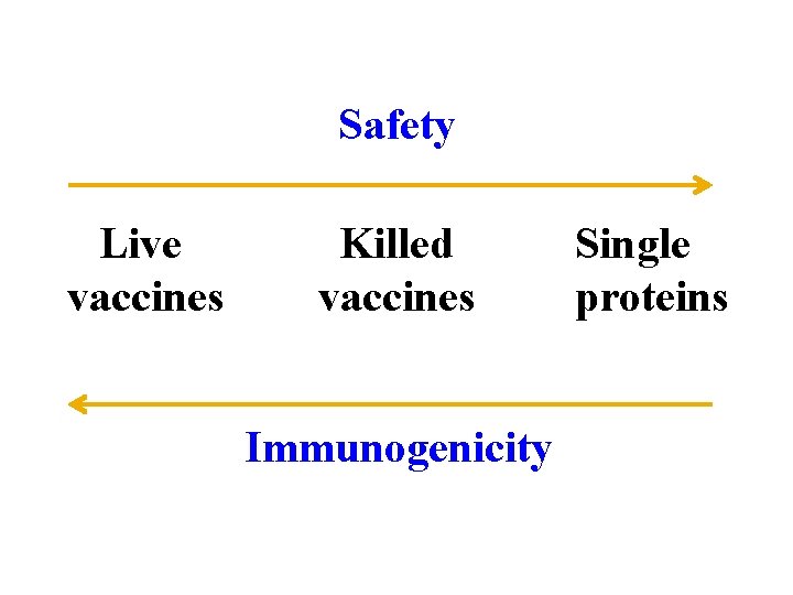 Safety Live vaccines Killed vaccines Immunogenicity Single proteins 