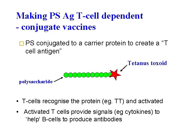 Making PS Ag T-cell dependent - conjugate vaccines � PS conjugated to a carrier