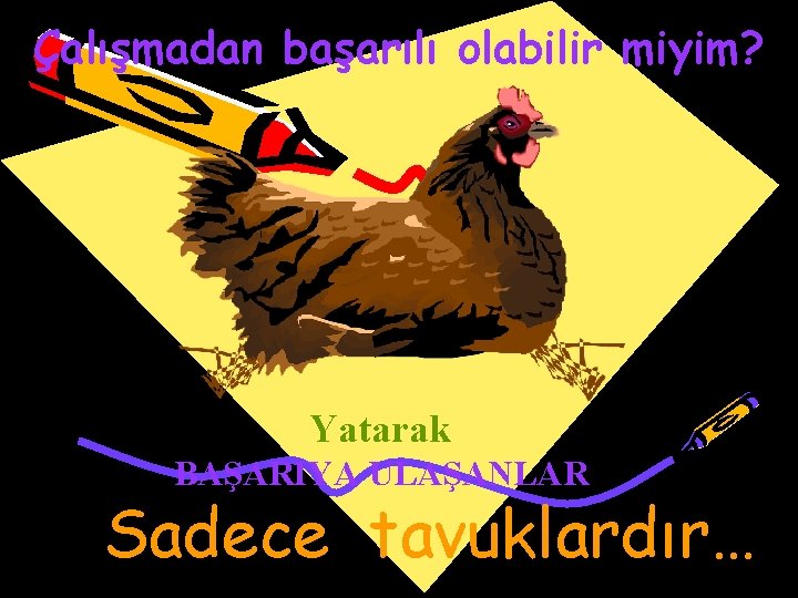 Çalışmadan başarılı olabilir miyim? Yatarak BAŞARIYA ULAŞANLAR Sadece tavuklardır… 