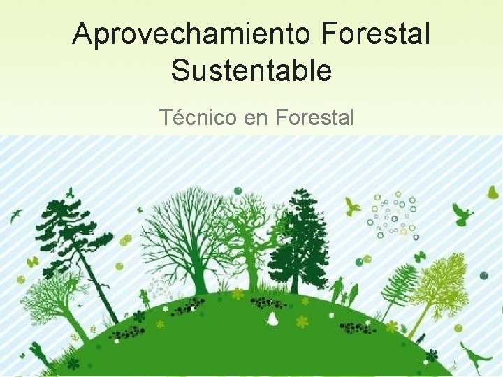 Aprovechamiento Forestal Sustentable Técnico en Forestal 