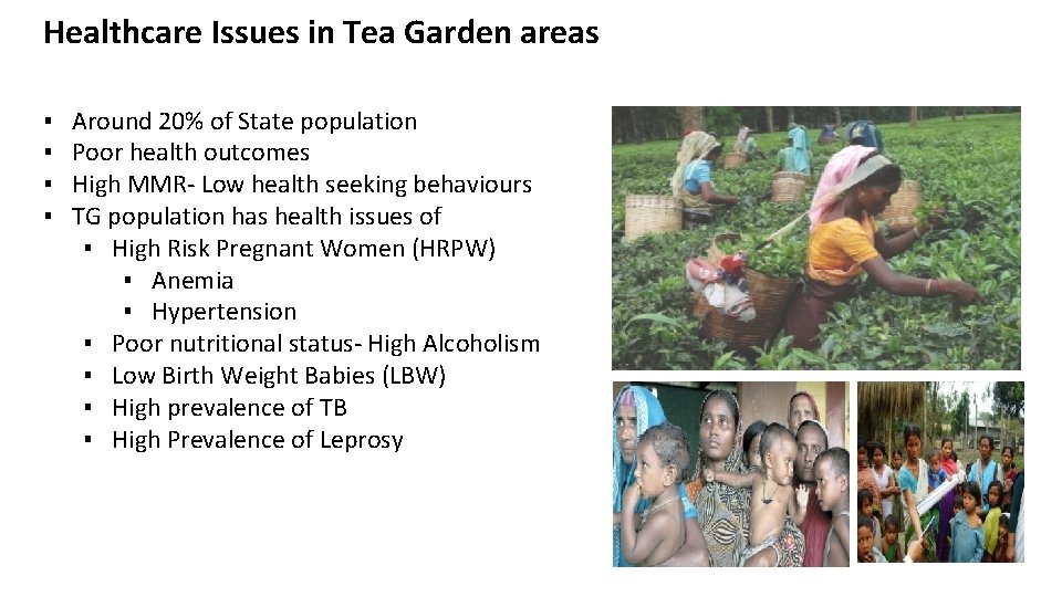 Healthcare Issues in Tea Garden areas ▪ ▪ Around 20% of State population Poor