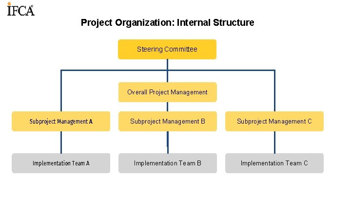 Project Organization: Internal Structure Steering Committee Overall Project Management Subproject Management A Subproject Management