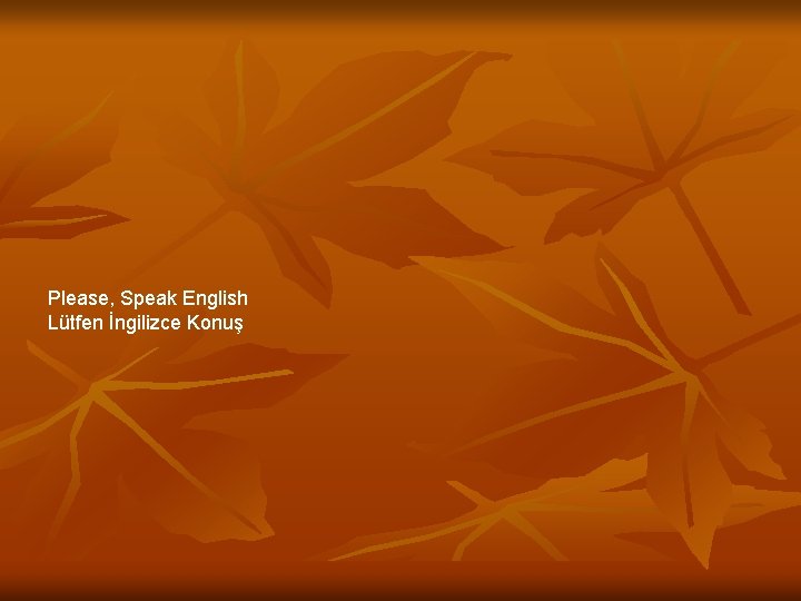 Please, Speak English Lütfen İngilizce Konuş 