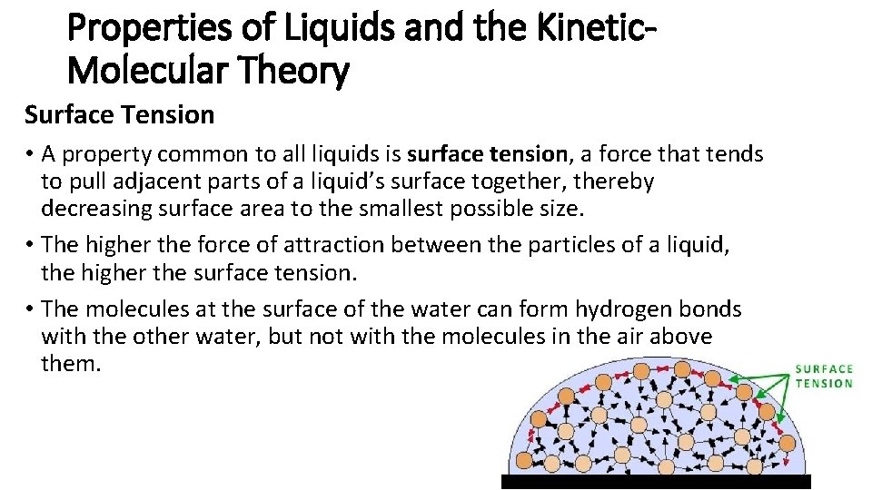 Properties of Liquids and the Kinetic. Molecular Theory Surface Tension • A property common