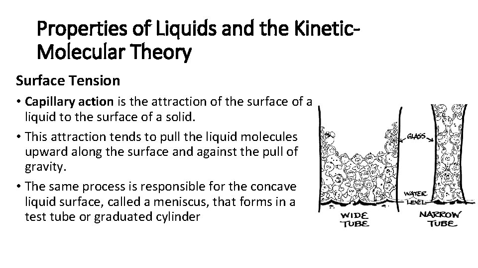 Properties of Liquids and the Kinetic. Molecular Theory Surface Tension • Capillary action is
