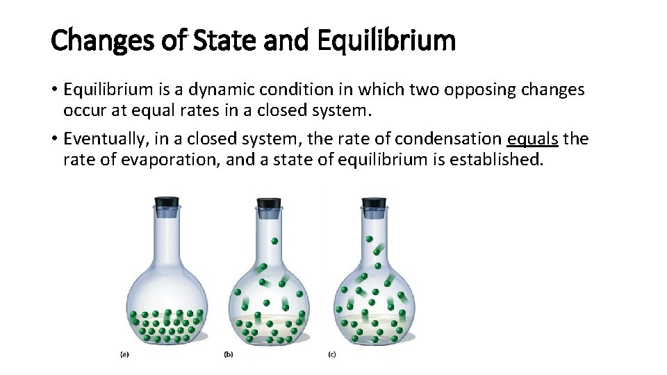Changes of State and Equilibrium • Equilibrium is a dynamic condition in which two