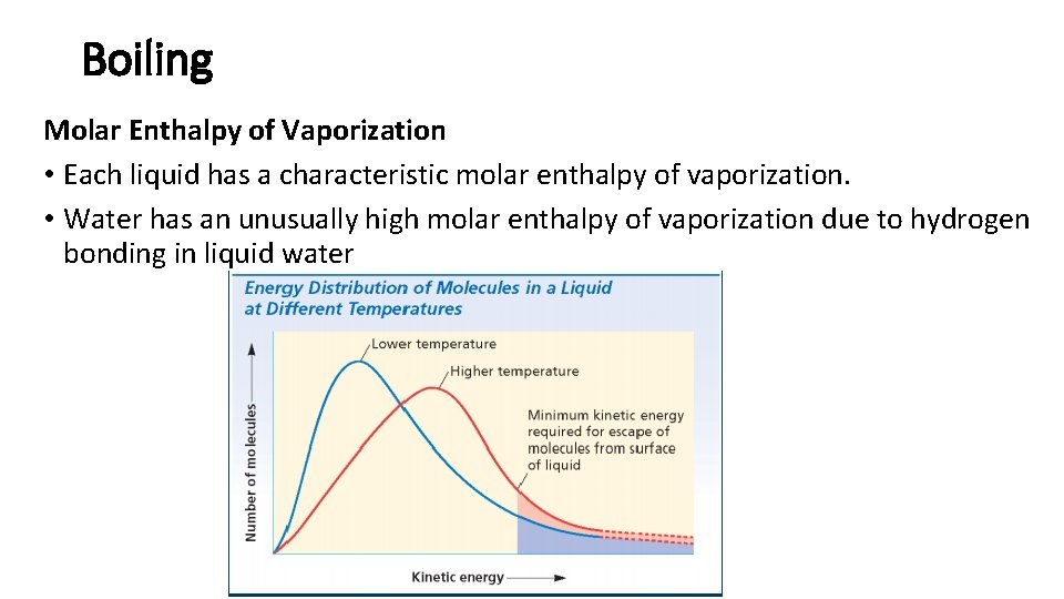 Boiling Molar Enthalpy of Vaporization • Each liquid has a characteristic molar enthalpy of