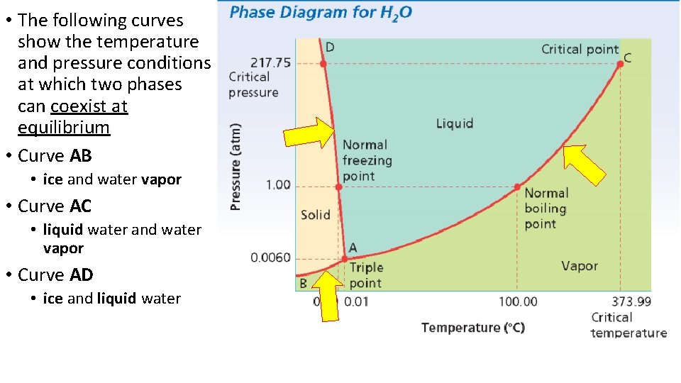  • The following curves show the temperature and pressure conditions at which two