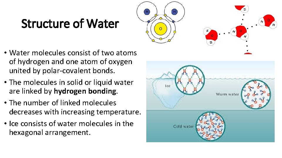 Structure of Water • Water molecules consist of two atoms of hydrogen and one