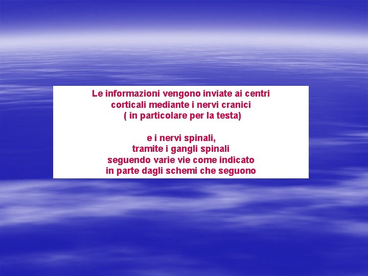 Le informazioni vengono inviate ai centri corticali mediante i nervi cranici ( in particolare