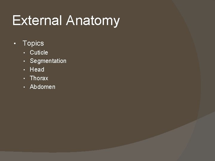 External Anatomy • Topics • Cuticle • Segmentation • Head • Thorax • Abdomen