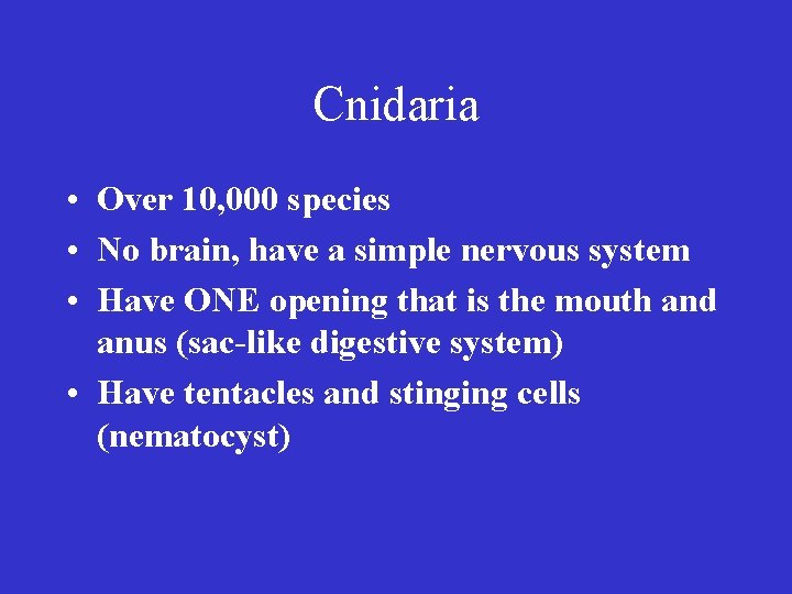 Cnidaria • Over 10, 000 species • No brain, have a simple nervous system