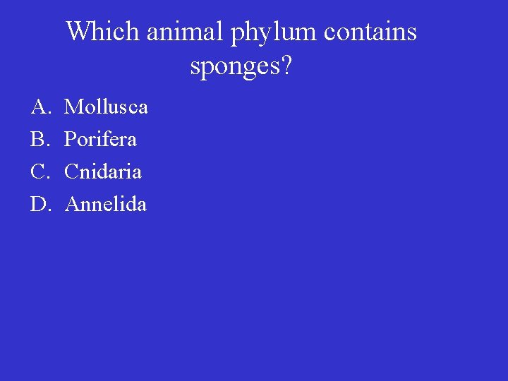 Which animal phylum contains sponges? A. B. C. D. Mollusca Porifera Cnidaria Annelida 