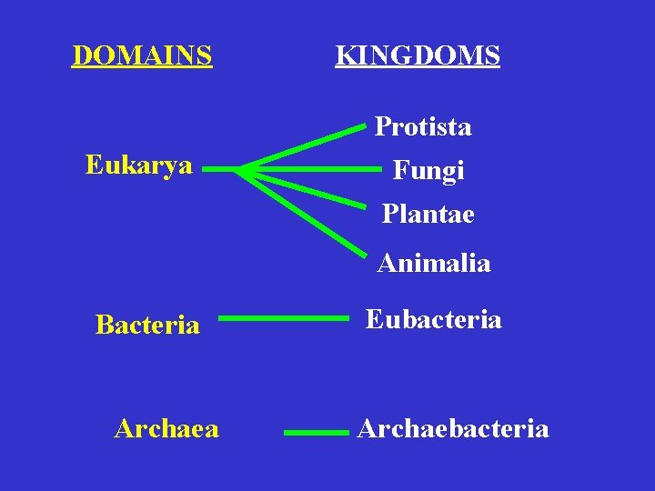 DOMAINS KINGDOMS Protista Eukarya Fungi Plantae Animalia Bacteria Archaea Eubacteria Archaebacteria 