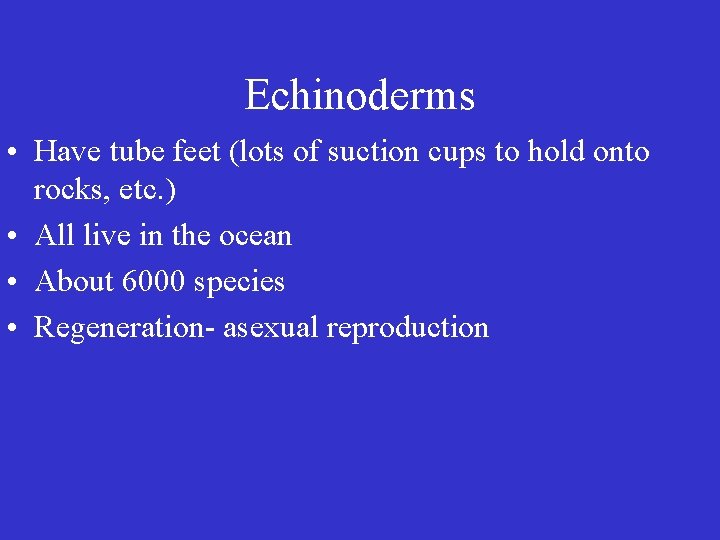 Echinoderms • Have tube feet (lots of suction cups to hold onto rocks, etc.